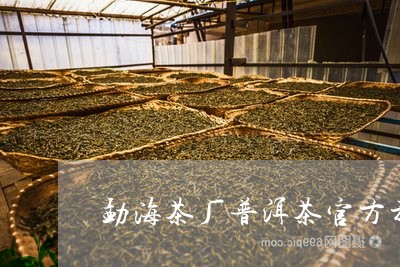 勐海茶厂普洱茶官方旗舰店/2023081702925