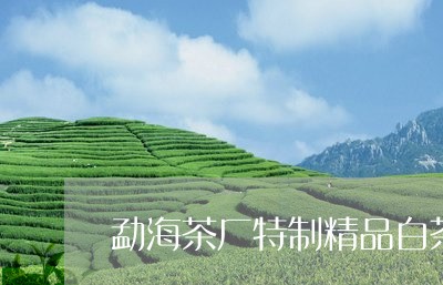 勐海茶厂特制精品白茶/2023123169482