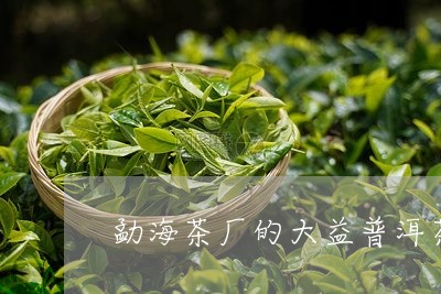 勐海茶厂的大益普洱茶怎么样/2023052729369