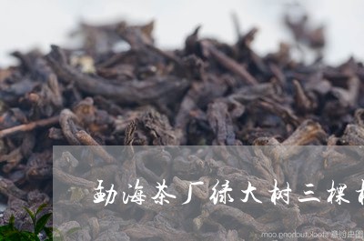 勐海茶厂绿大树三棵树普洱茶/2023082881403