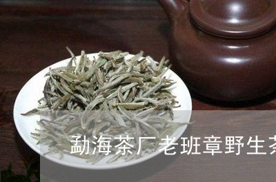 勐海茶厂老班章野生茶饼典藏品/2023053181927