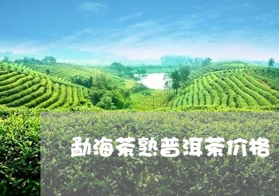 勐海茶熟普洱茶价格/2023070975725