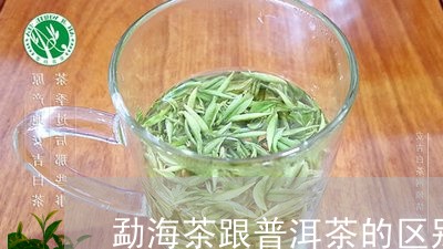 勐海茶跟普洱茶的区别/2023100744814