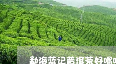 勐海蓝记普洱茶好喝吗/2023120799372