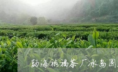 勐海裕福茶厂冰岛圆茶/2023092325948