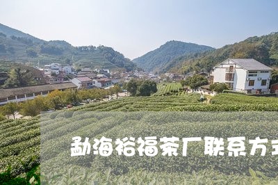 勐海裕福茶厂联系方式/2023071650484