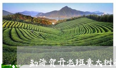 勐海贺开老班章大树茶/2023061247279