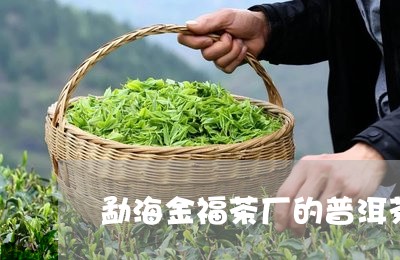 勐海金福茶厂的普洱茶/2023080338382