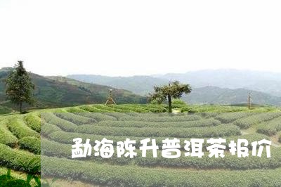 勐海陈升普洱茶报价/2023071151375