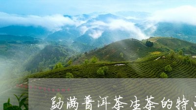 勐满普洱茶生茶的特点/2023062414938