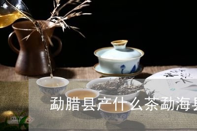 勐腊县产什么茶勐海县郎河茶厂/2023053142705