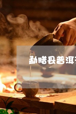 勐腊县普洱茶公园简介/2023082825068