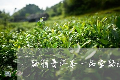 勐腊普洱茶一品堂勐海印象茶叶/2023053015248