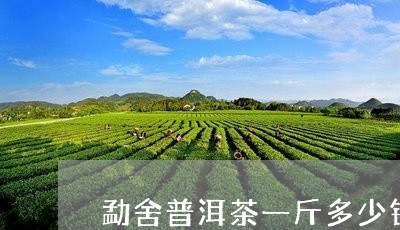 勐舍普洱茶一斤多少钱/2023092683936