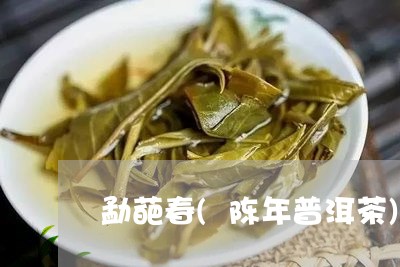 勐葩春(陈年普洱茶)/2023080121525