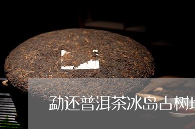 勐还普洱茶冰岛古树珍品/2023050461705