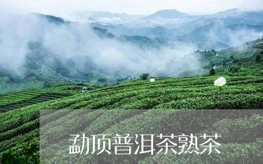 勐顶普洱茶熟茶/2023102665270