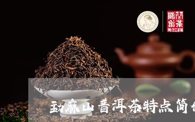 勐麻山普洱茶特点简介/2023082863825