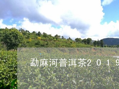 勐麻河普洱茶2019/2023080106381