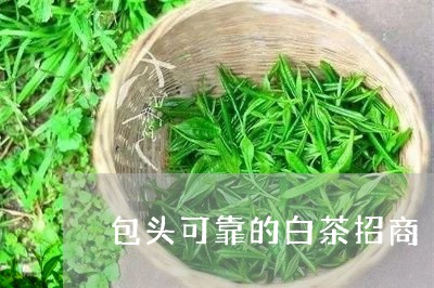 包头可靠的白茶招商/2023121779361