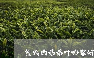 包头白茶茶叶哪家好/2023071592815