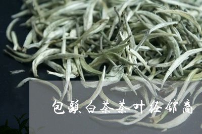 包头白茶茶叶经销商/2023071509613