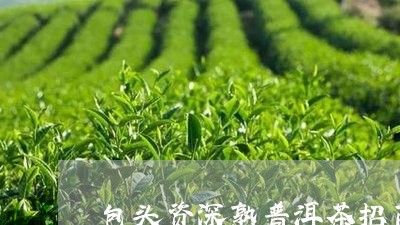 包头资深熟普洱茶招商/2023092528373