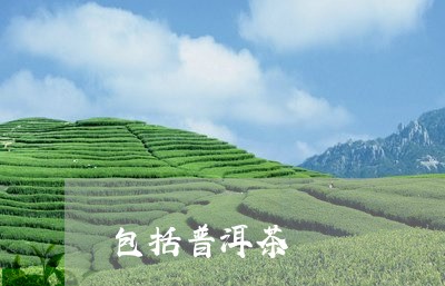 包括普洱茶/2023090554049