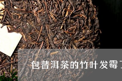 包普洱茶的竹叶发霉了/2023092836939