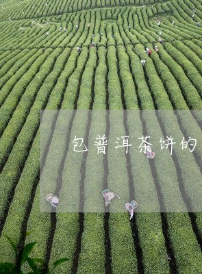 包普洱茶饼的棉纸脏了/2023092994838