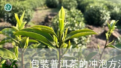 包装普洱茶的冲泡方法/2023120700582