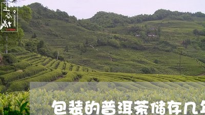 包装的普洱茶储存几年好/2023050672826