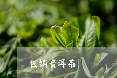 包销普洱茶/2023081528260