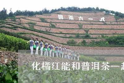 化橘红能和普洱茶一起泡吗/2023112457371