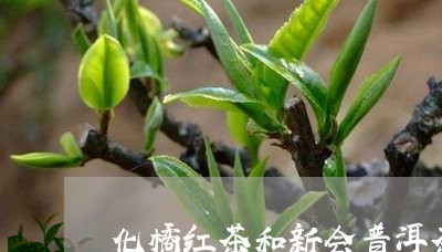 化橘红茶和新会普洱茶/2023062232935