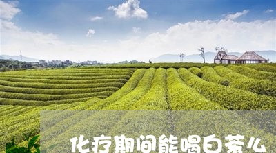 化疗期间能喝白茶么/2023071512817