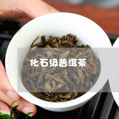 化石级普洱茶/2023042858199