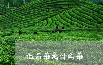 化石茶是什么茶/2023042997107