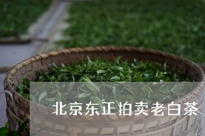 北京东正拍卖老白茶/2023121737260