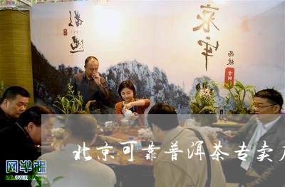 北京可靠普洱茶专卖店有哪些/2023121584050