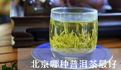 北京哪种普洱茶最好/2023091383057