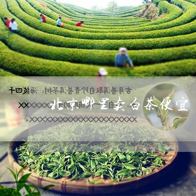 北京哪里卖白茶便宜/2023121790707