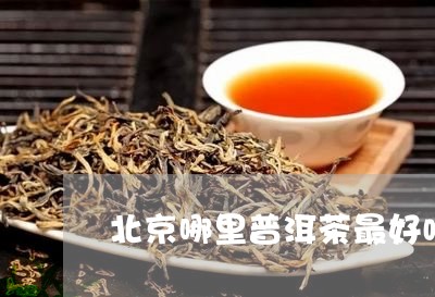 北京哪里普洱茶最好喝的地方/2023121529382