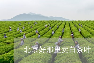 北京好那里卖白茶叶/2023121727359