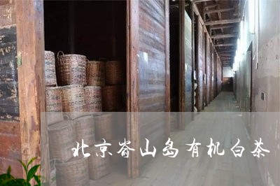 北京嵛山岛有机白茶/2023121756150