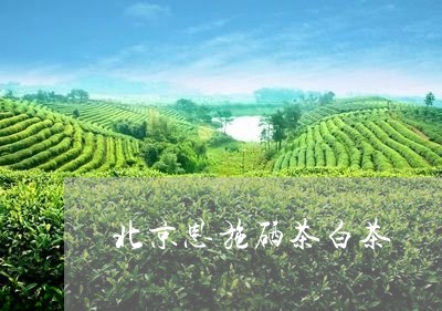 北京恩施硒茶白茶/2023061651515