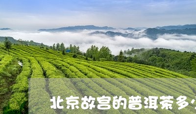 北京故宫的普洱茶多少年/2023120709372