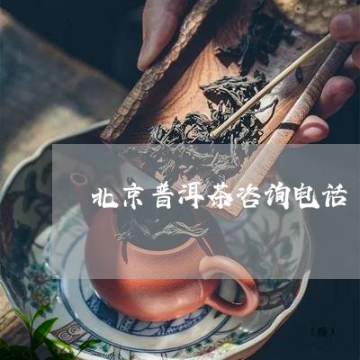 北京普洱茶咨询电话/2023071050674