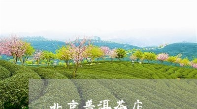 北京普洱茶店/2023090640592