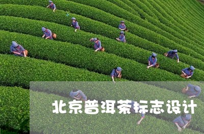 北京普洱茶标志设计/2023081693835